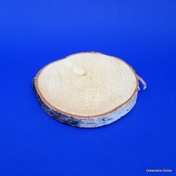 Plaster brzozowy 5-10 cm