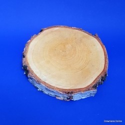 Plaster brzozowy 10-15 cm