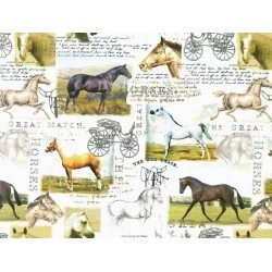 HORSES 187718