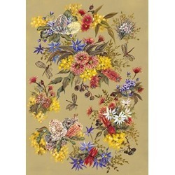 Native Flowers Finmark RS 661