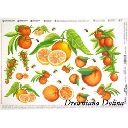 Pomarańcze TO DO 029