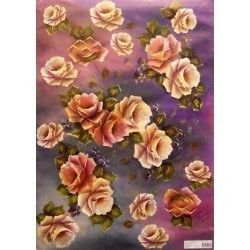 Annie's Burgundy Roses Finmark AS 840