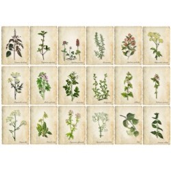 Papier do decoupage ITD COLLECTION NR 0162 A4