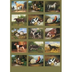 Farm animals CAL142